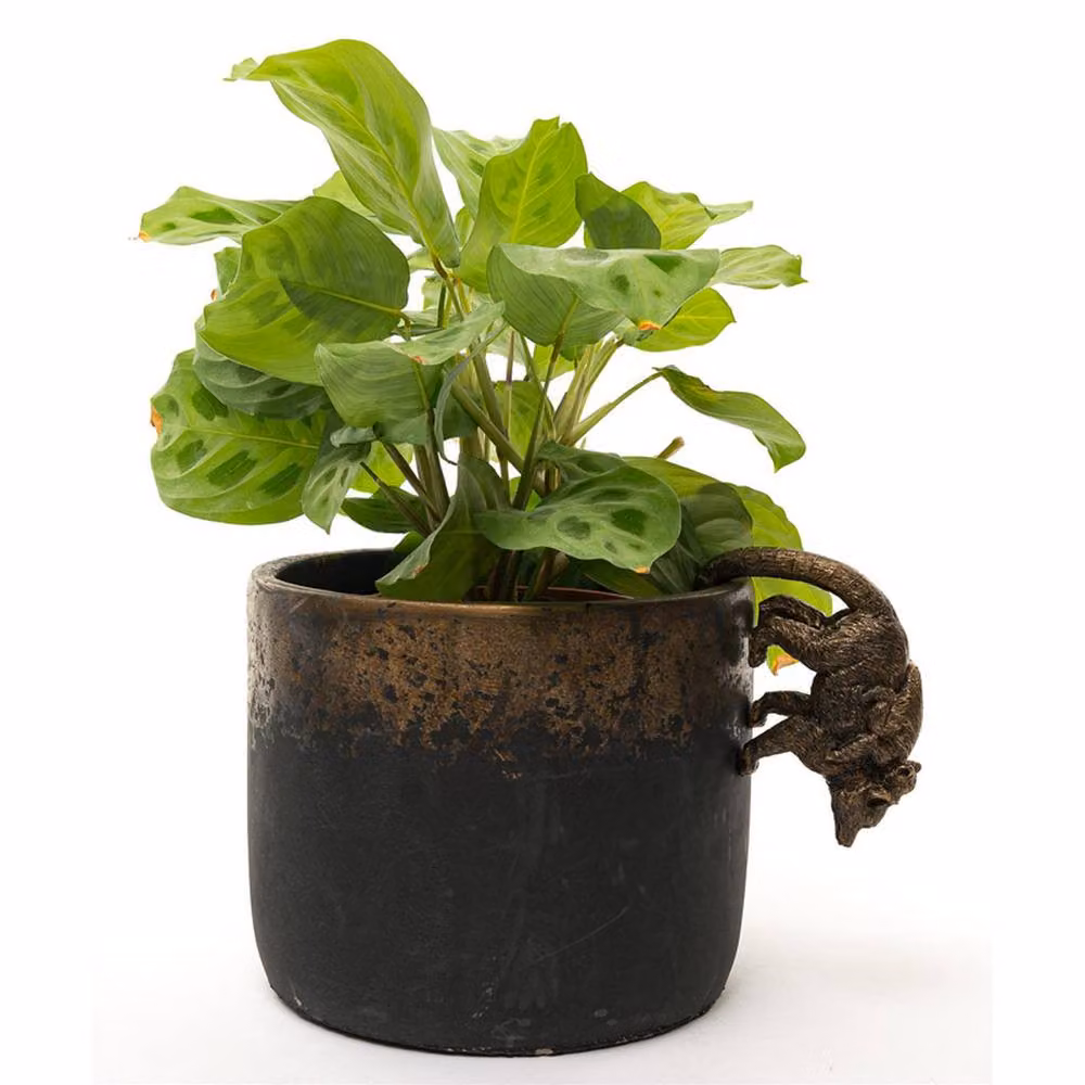 Jardinopia Lemur and Pup Hanging Plant Pot Hanger in Bronze – 8