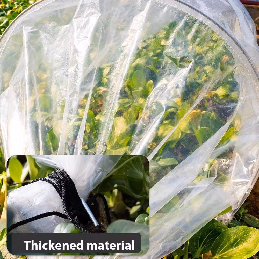 Kelvenix 3M Mini Greenhouse Extra Long Garden Grow Cloche with Frost Protection in Clear, W/D/H: 300 x 40 x 40 cm – 3