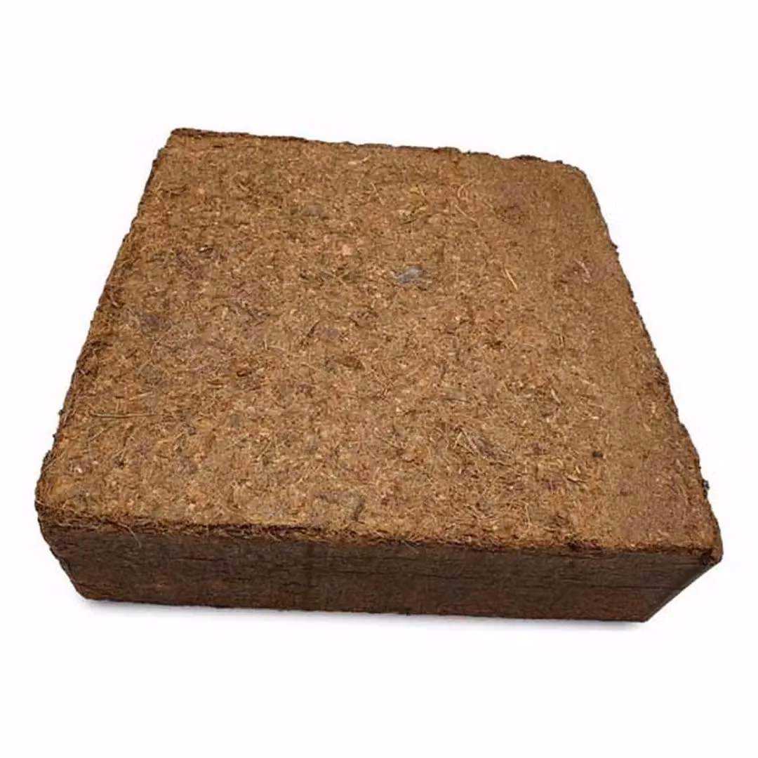 Coir Products Coco Coir Potting Mix, 5 kg Block, Brown – 2