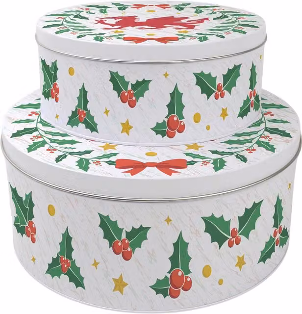 Purely Home Welsh Dragon Christmas Cake Tin Set, Round, Multicoloured