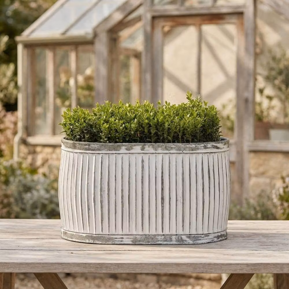 FLAVORA Medium Vintage Aged Ribbed Galvanised Metal Planter Tub in White – 2