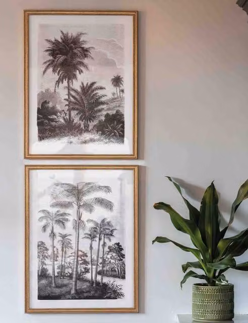 Gallery Direct Set of 2 Colonial Sketches Botanical Illustration Paper Posters in Beige and Gold Rectangular Frames
