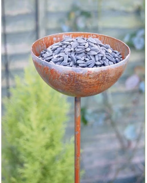 Poppyforge Bowl Plant Pin Pack of 3 in Brown Steel, Height: 154.2 cm