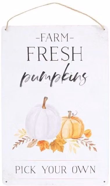 KDMD Farm Fresh Pumpkins Metal Hanging Sign in White
