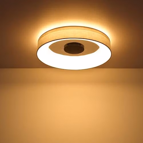 Netlighting Globo Lighting Modern Round LED Ceiling Light with Bluetooth Speaker, Dimmable and Remote Control, Diameter: 46.8 cm, Height: 9.8 cm – 2