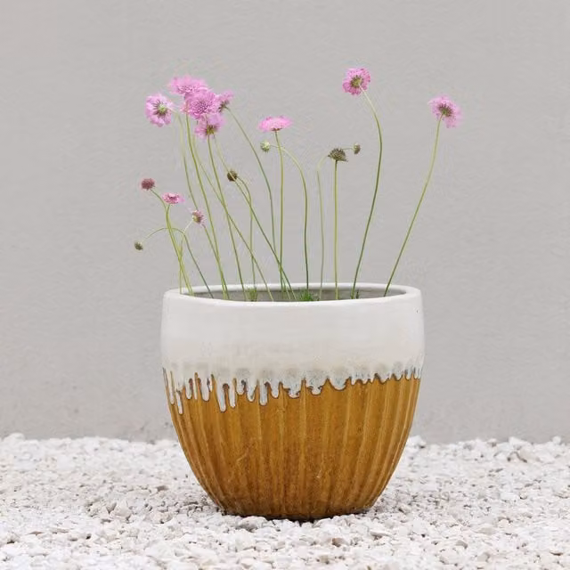 Primrose Ribbed Textured Glazed Round Patio Planter in Two Tone Yellow and Brown, 34l