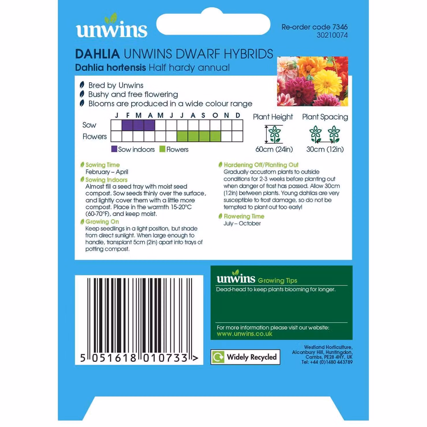 Unwins Mixed Colour Dwarf Hybrid Dahlia Flower Seeds, 75 Pack – 2