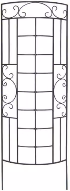 Primrose Romantic Curved Trellis and Plant Support Ladder in Black, Height: 182 cm