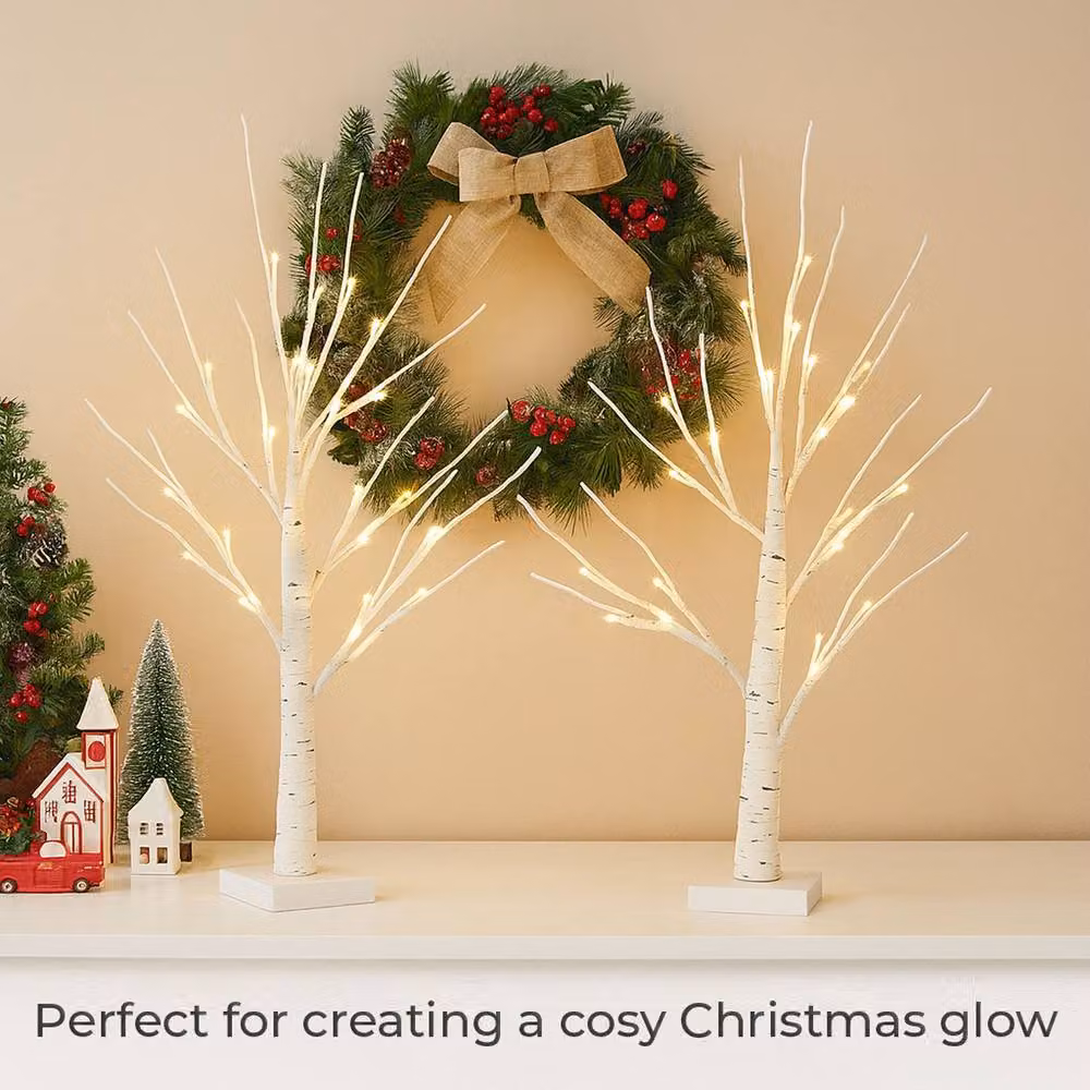 Neo Set of 2 Warm White LED Pre Lit Birch Twig Tree Lights, Height: 60 cm – 5