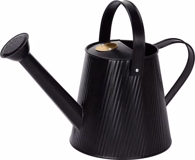 Simpa Metal Watering Can with Rose in Black, 3 l – 1