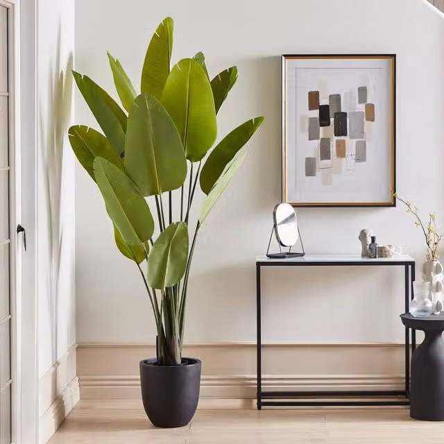 Wyld and Coco Artificial Banana Tree, Green, Height: 187 cm
