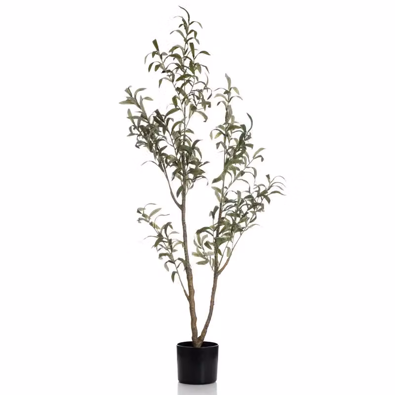 Scottish Everlastings Ltd 130cm Slim Silhouette Green Olive Tree – 3