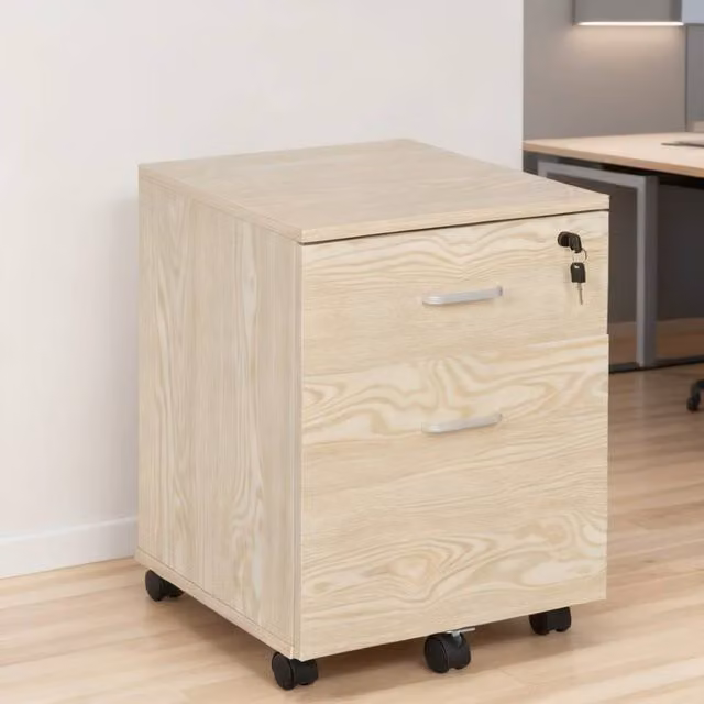 ERGOVEXA 2-Drawer Locking Office Filing Cabinet with 5 Wheels, Oak in Natural White