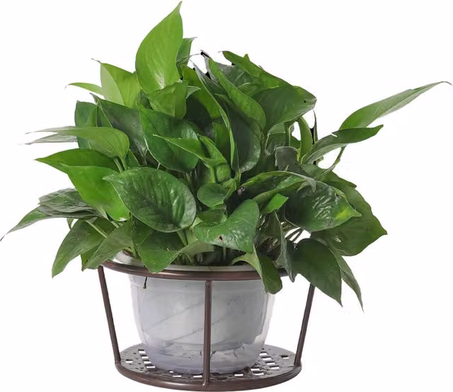 Livingandhome Iron Hanging Railing Planter Pot in Bronze