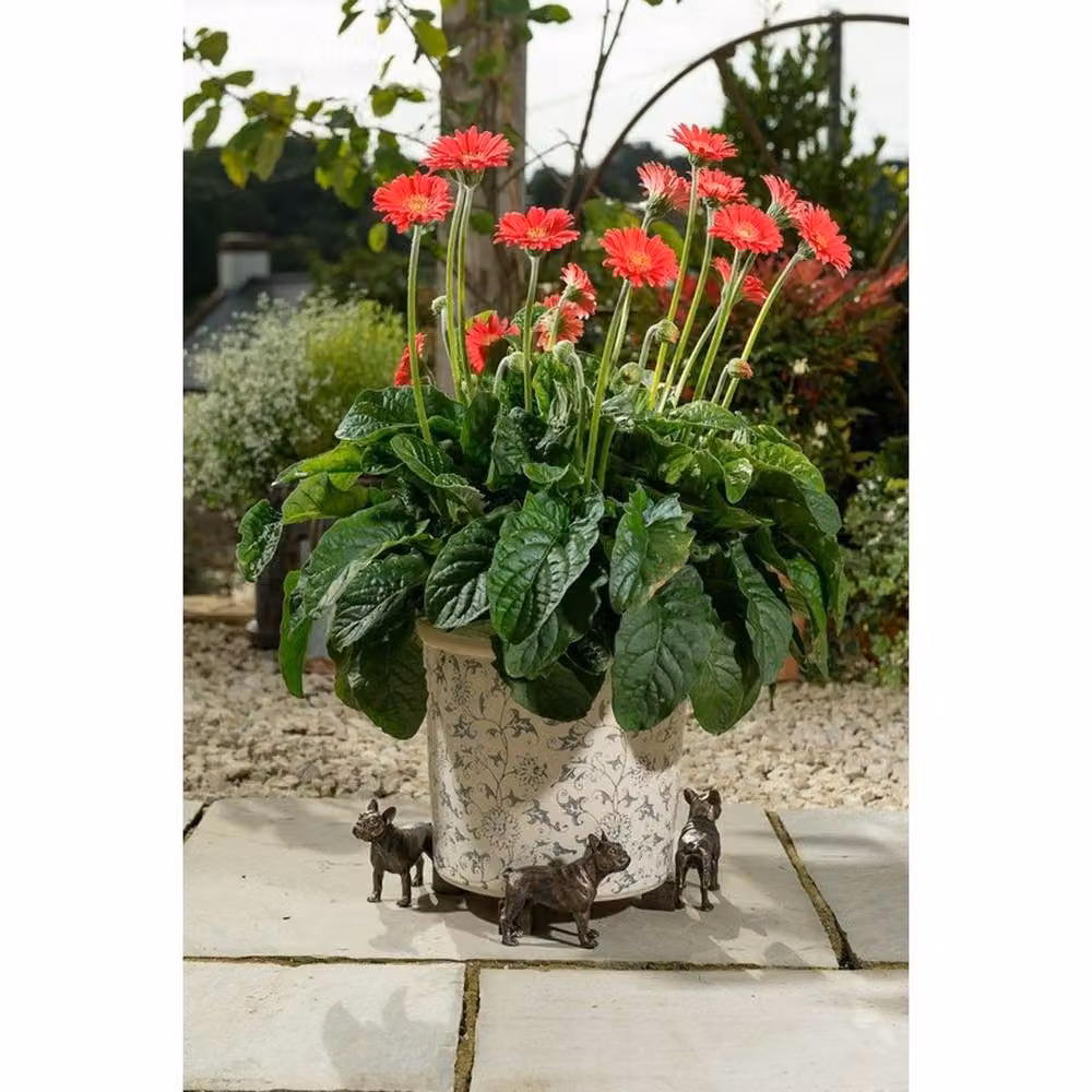 Jardinopia Antique Bronze French Bulldog Planter Feet, Set of 3 – 3