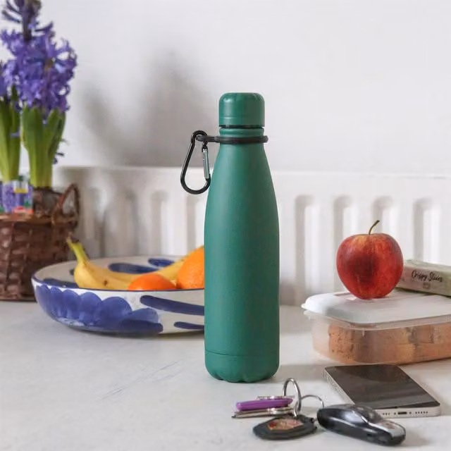 Harbour Housewares Leakproof Stainless Steel Water Bottle with Screw Cap and Carabiner Clip in Green