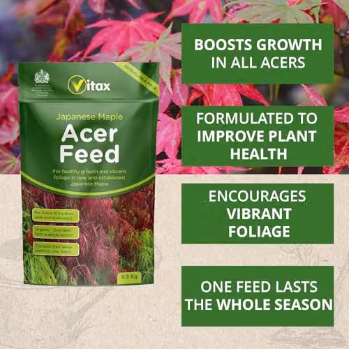 Vitax Japanese Maple Acer Feed Slow Release Plant Tonic, 0.9kg Pouch – 3