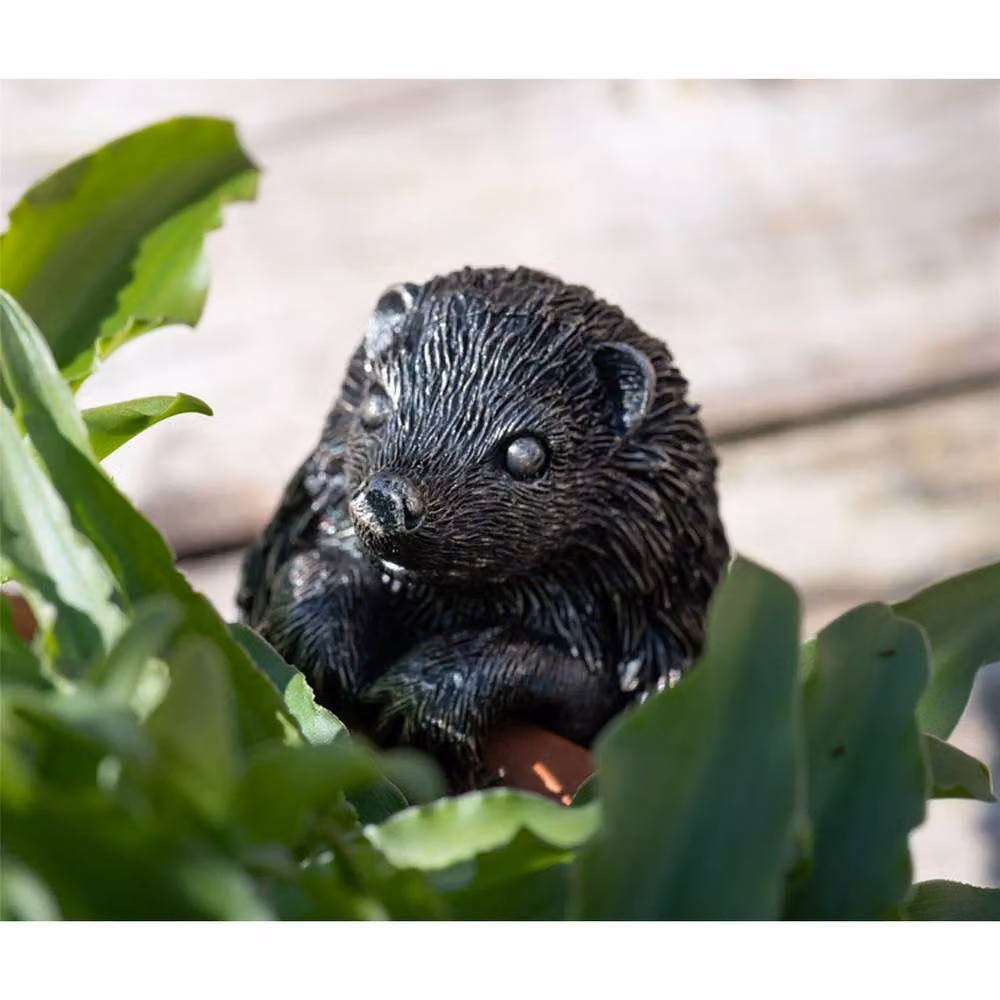 Jardinopia Hedgehog Plant Pot Hanger, Bronze, L11 x W6 x H6 cm – 3