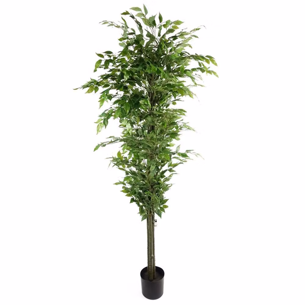 Botanik Green Realistic Premium Artificial Ficus Tree, Height: 180 cm – 4