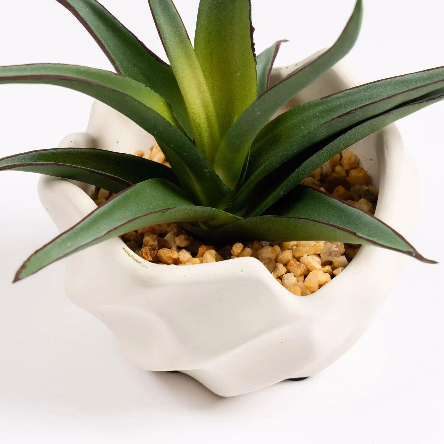 Scottish Everlastings Ltd Spiky Succulent in Wavy Concrete Pot, Green and White – 3