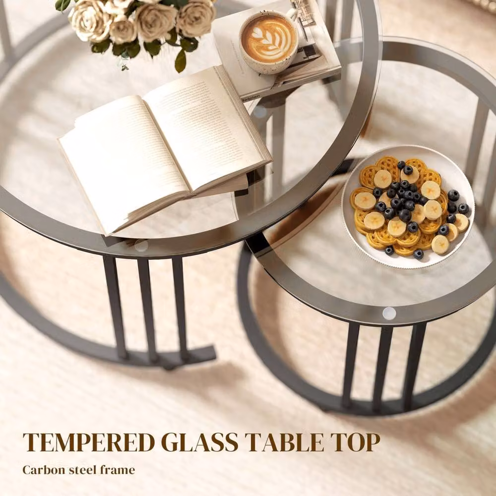Wyld Haus Kane Set of 2 Round Nesting Tables with Black Metal Steel Frame and Glass Tops – 5