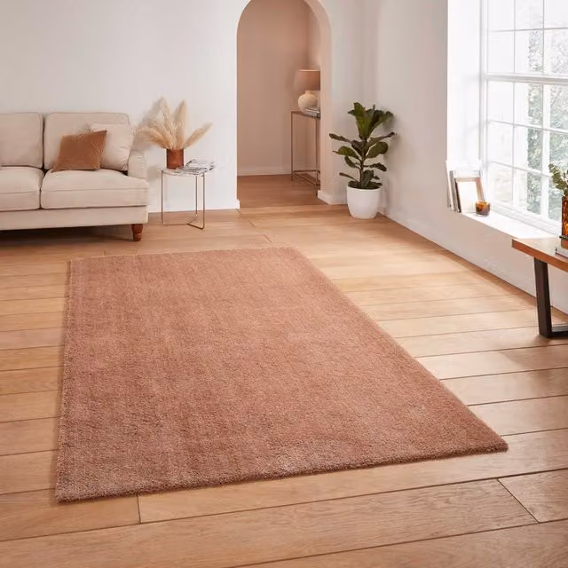 Terrys Kara Washable Modern Rectangular Rug in Brown Walnut Polyester