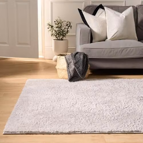 OHS Teddy Shaggy Rug in Silver Grey, W/D/H: 170 x 120 x 3 cm