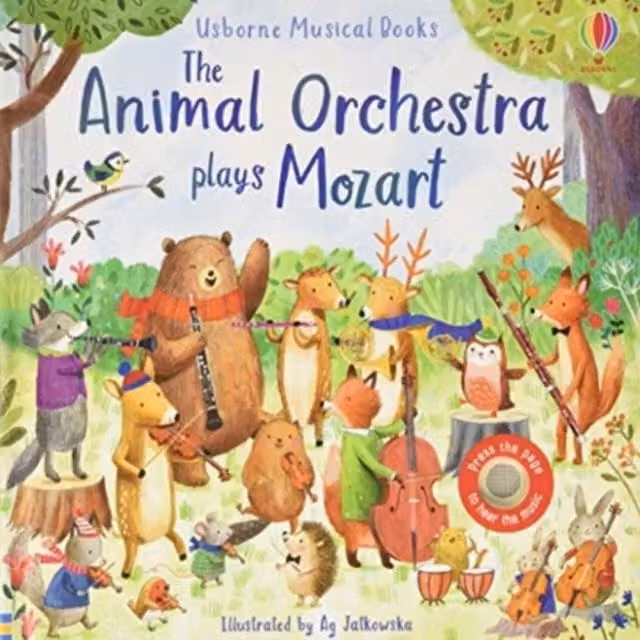 Sam Taplin The Animal Orchestra Plays Mozart Multicolour Board Book