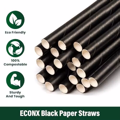 ECONX Black Paper Straws, 20.32 cm, Pack of 250 – 2