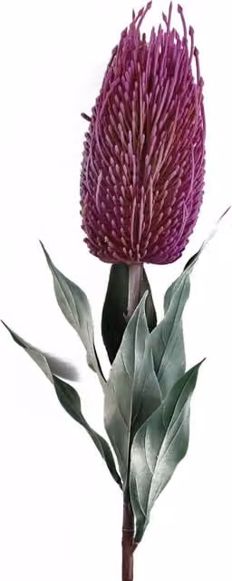 Banksia Menziesii Artificial Flower Stem in Pink and Purple with Leaf