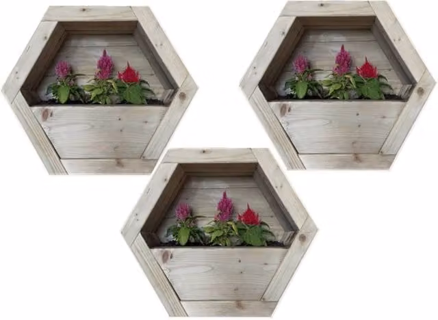 Buttercup Farm Set of 3 Medium Hanging Wooden Hexagon Wall Planters in Brown – 1