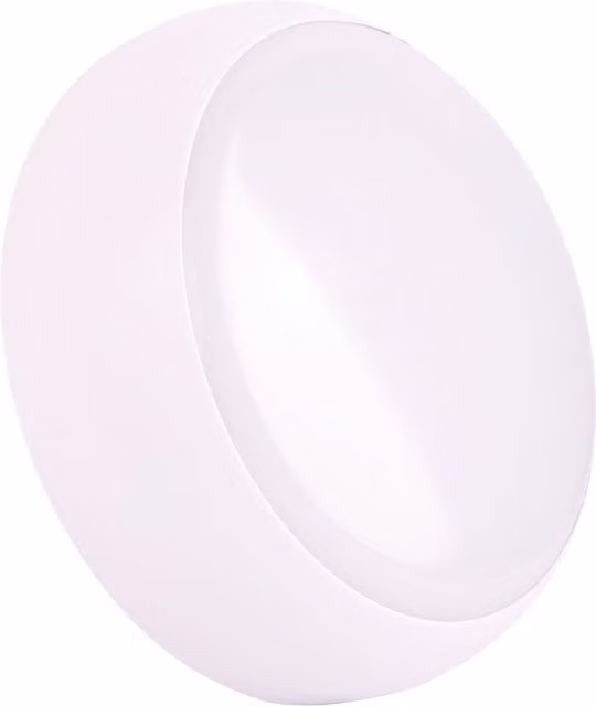 Fern Howard White LED Wall Light with Opal Diffuser