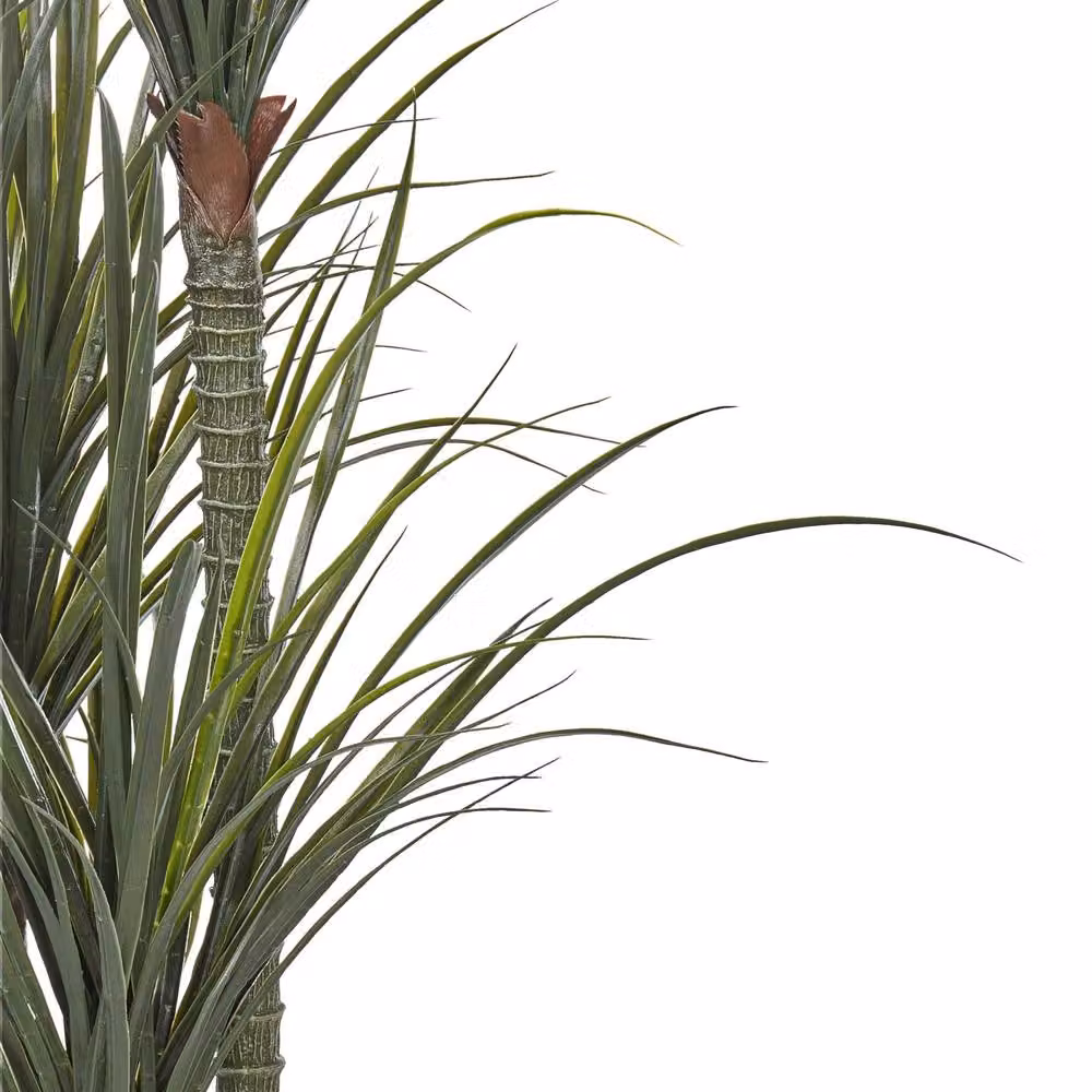 Wyld and Coco Luxe Dracaena Artificial Plant in Green Pot, Height: 198 cm – 3