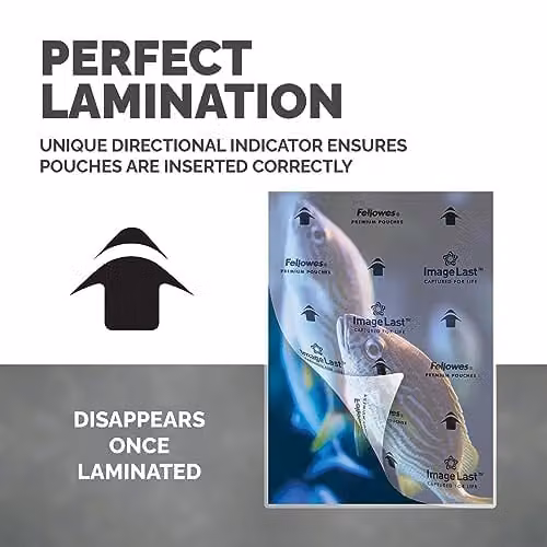Fellowes A4 Gloss Laminating Pouches, 100 Sheets, 160 Micron, Transparent – 4