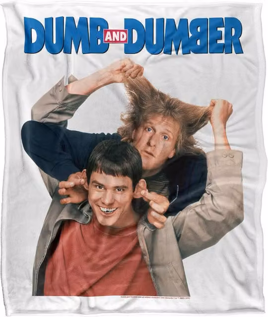Warner Bros. Dumb & Dumber Key Art Super Soft Fluffy Throw Blanket, Multicolour, Large – 1