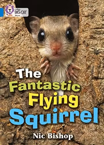Collins Big Cat The Fantastic Flying Squirrel Information Book with Photographs – 1