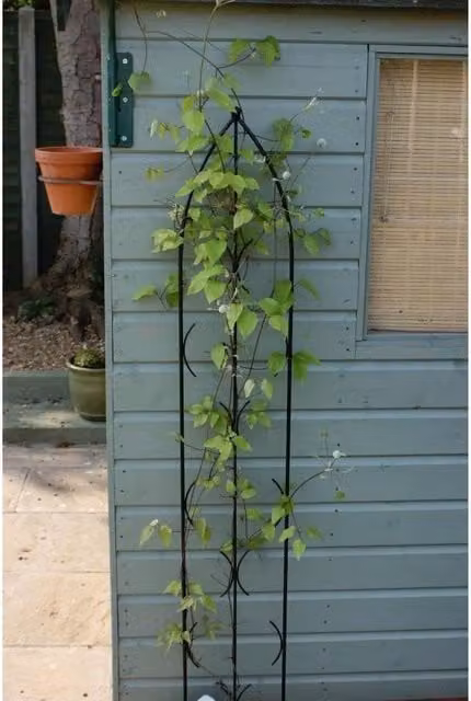 Poppyforge Single Gothic Steel Garden Screen and Plant Support, Black, H 180 cm x W 24 cm