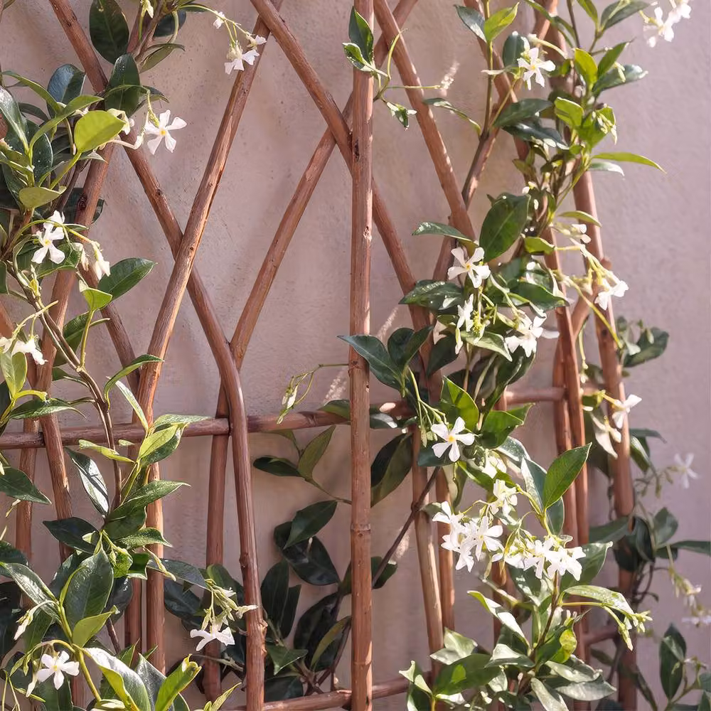 Primrose Pack of 3 Arched Natural Willow Garden Trellis Panels, Brown, H 180 cm x W 60 cm – 2