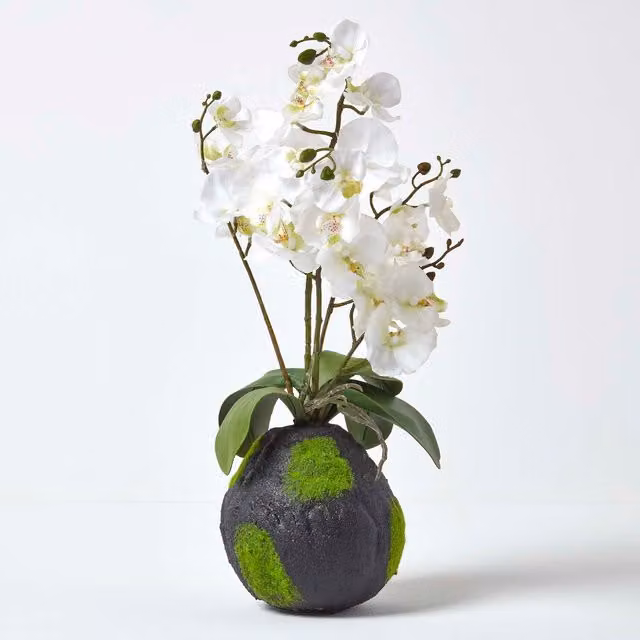 Homescapes White Phalaenopsis Artificial Orchid with Natural Base, Height: 60 cm