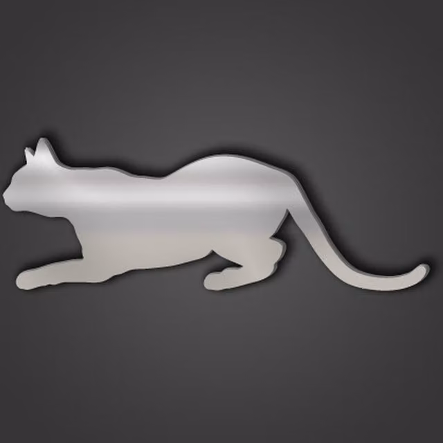 Abyssinian Cat Style 5 Silver Acrylic Pet Mirror