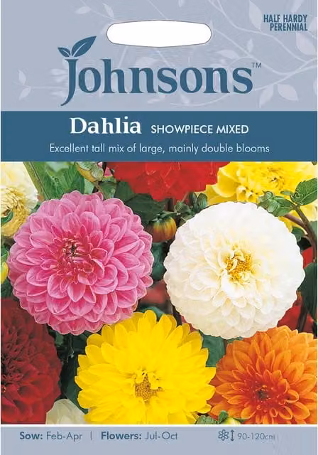 Johnsons Mixed Colour Dahlia Showpiece Ornamental Flower Seeds