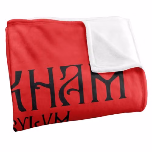LOGOVISION Batman Arkham Asylum Super Soft Silky Touch Fleece Throw Blanket, Multicolour, W: 91.44 cm, L: 147 cm – 2