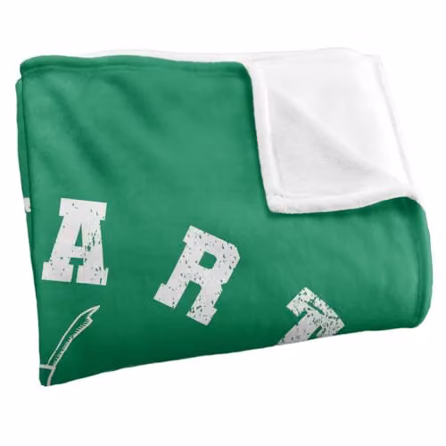 LOGOVISION Harry Potter Slytherin Quidditch Super Soft Fleece Throw Blanket, Multicolour, W: 127 cm, D: 152.4 cm – 2