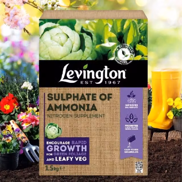 Levington All Purpose Plant Food Nitrogen Supplement Granulate, 1.5kg