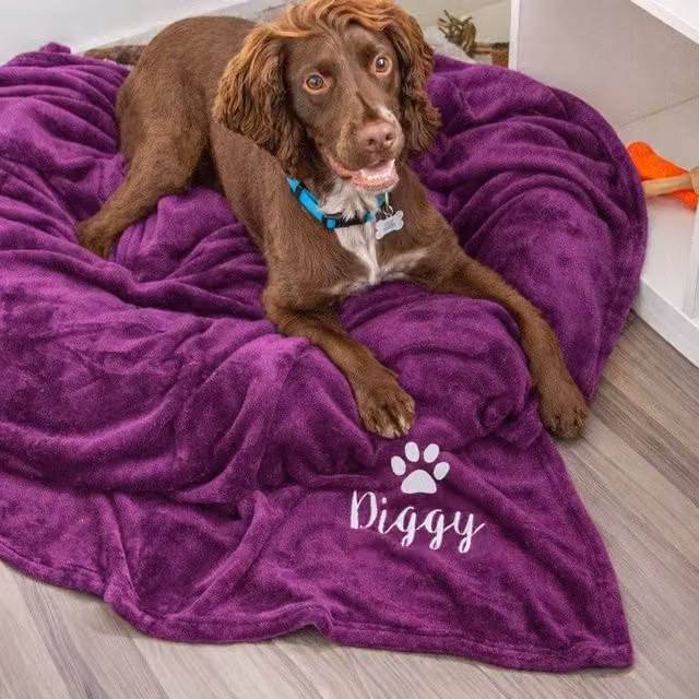 Duncan Stewart Personalised Dog Blanket Throw in Purple, W/D/H: 180 x 140 x 1 cm – 1