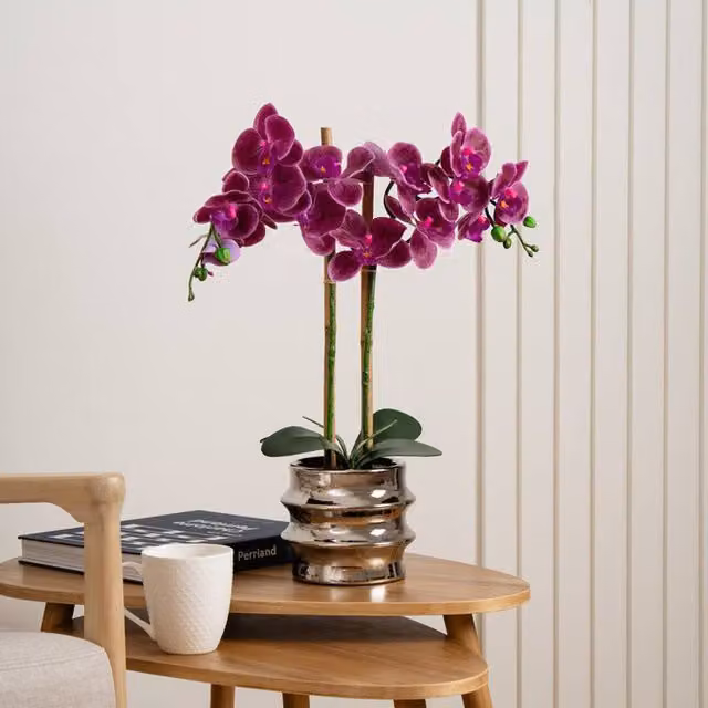 Scottish Everlastings Ltd Pink Orchid in a Silver Ceramic Pot, Height: 54 cm