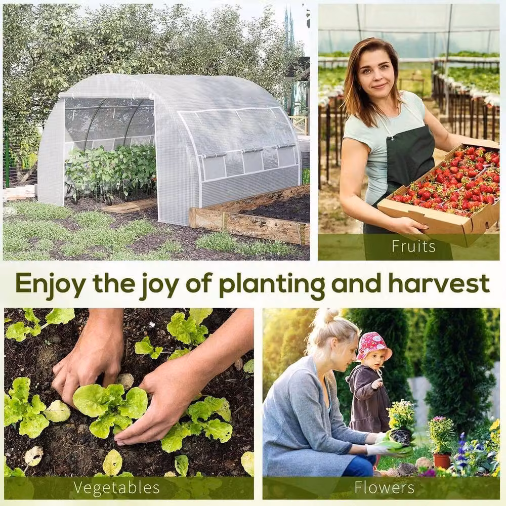 FLAVORA Transparent Polytunnel Greenhouse Tent with Galvanised Steel Frame – 3