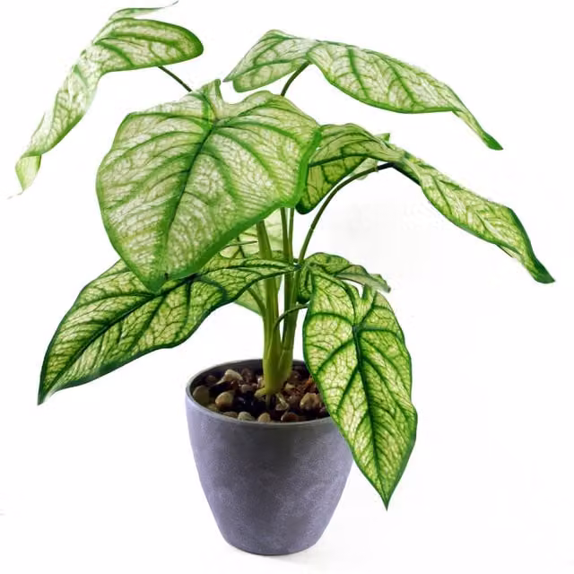 Artificial Taro Green Plant in Grey Round Decorative Planter