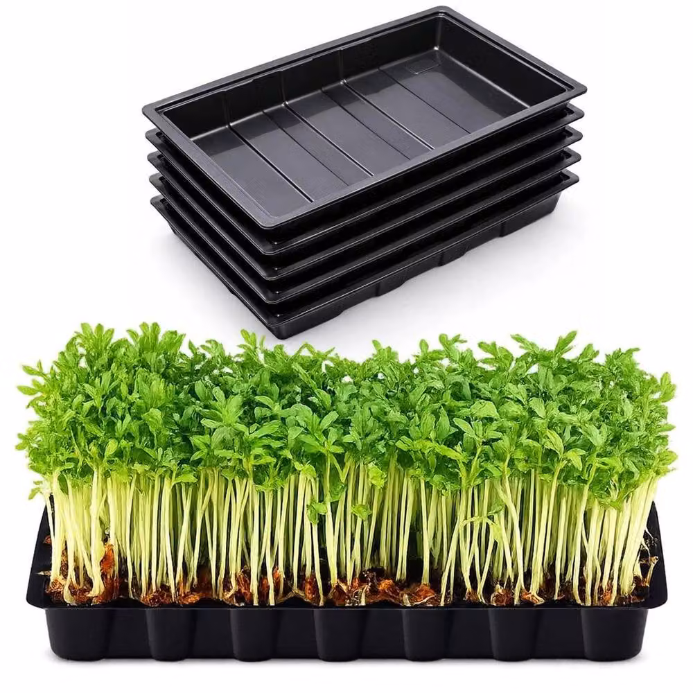 NESTLUNE Set of 5 Black Multipurpose Plastic Garden Seed Trays and Planter Pots – 2