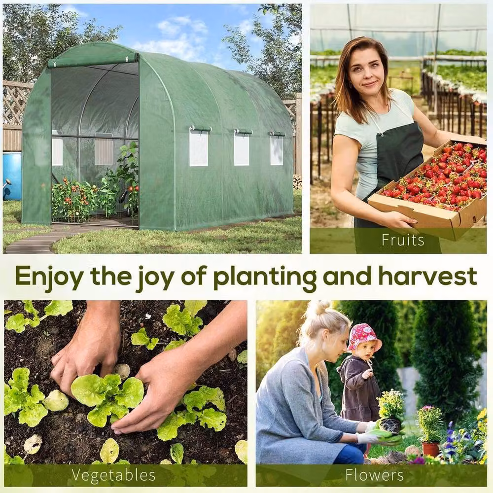 FLAVORA Green Walk-in Garden Greenhouse Polytunnel with Window, Area: 0.6 m2 – 2